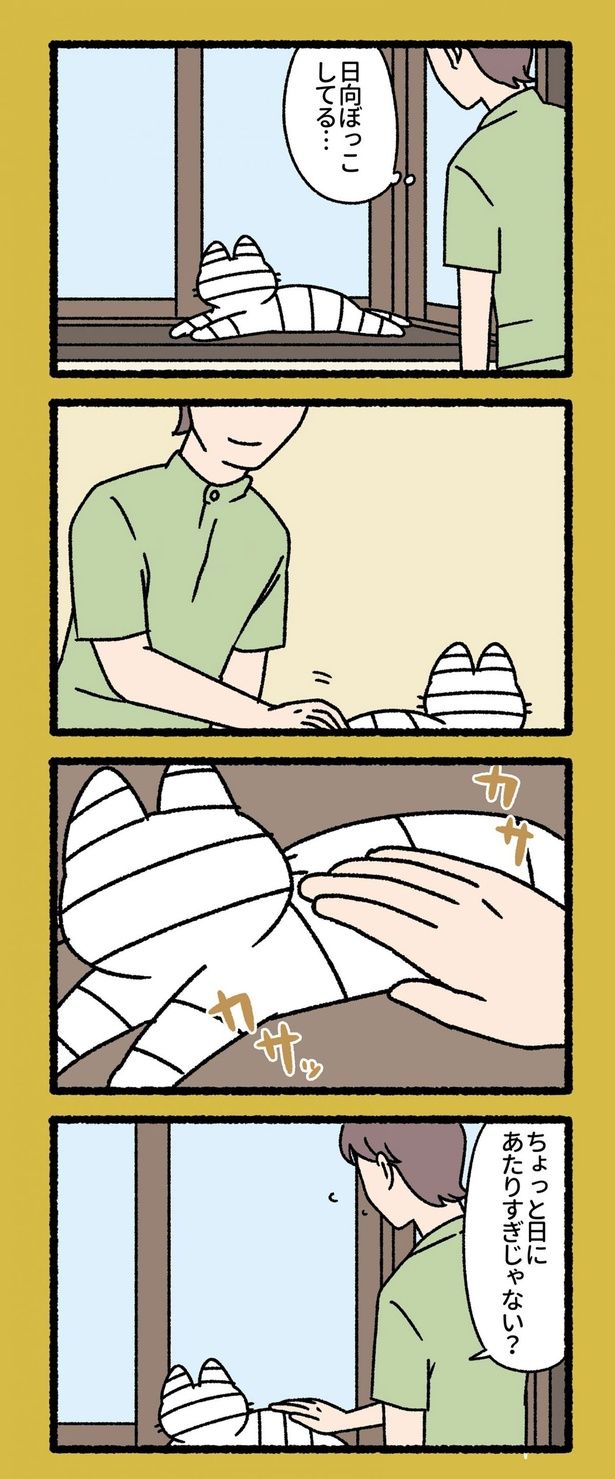 日向ぼっこしてる... （C）ぱんだにあ／竹書房