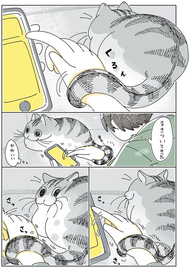 まきついてきた （C）キュルZ／KADOKAWA