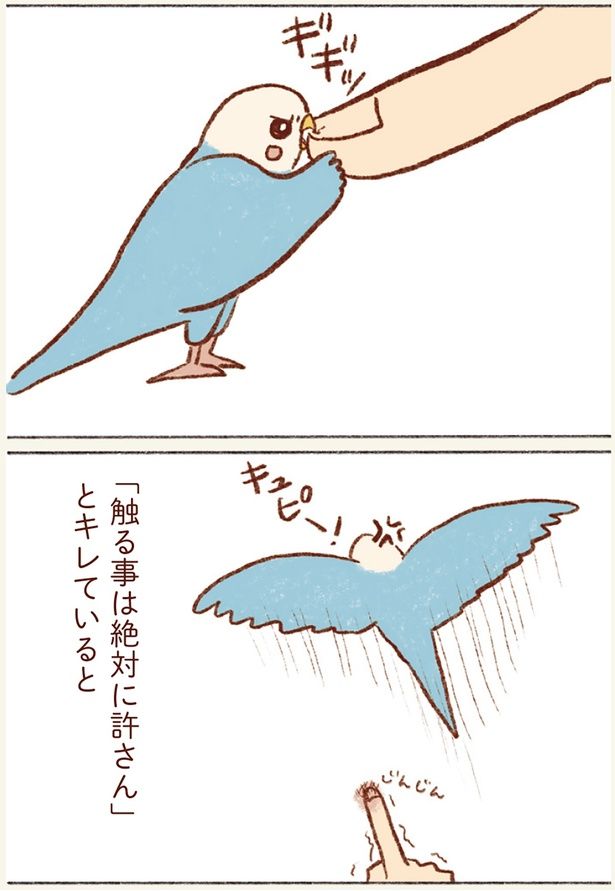 「触る事は絶対に許さん」とキレていると （C）谷小夏／KADOKAWA