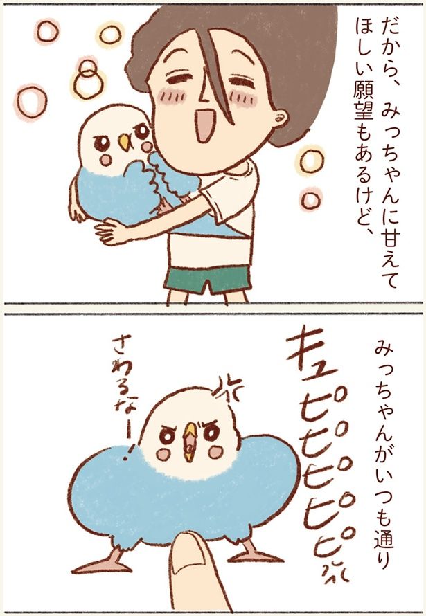 みっちゃんがいつも通り （C）谷小夏／KADOKAWA