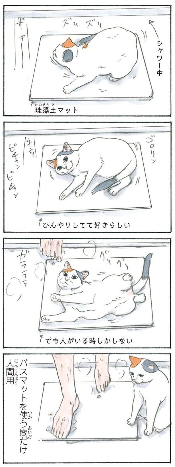 猫はお風呂で戯れる （C）にごたろ／KADOKAWA
