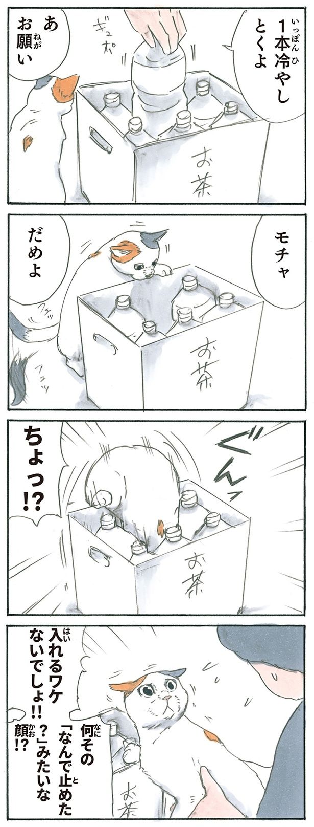 とりあえず入ってみる （C）にごたろ／KADOKAWA