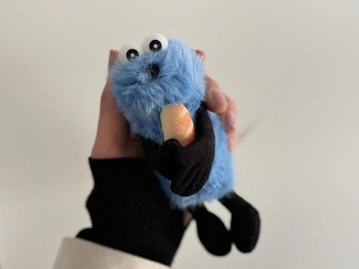 画像1: 出典：ftn_pics