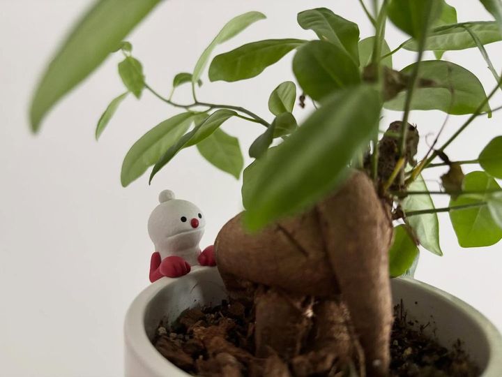 画像2: 出典：ftn_pics