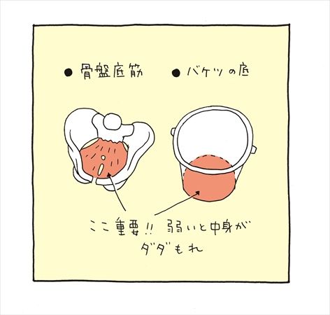 骨盤底筋とは？
