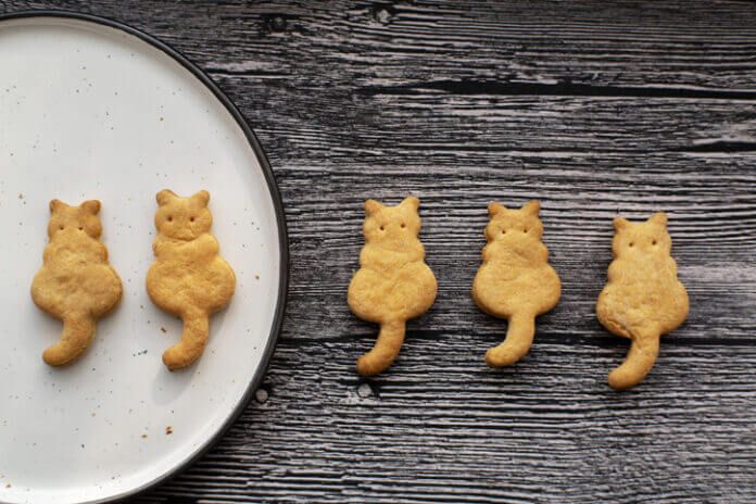 女神になる必要ナシ！“猫系女子”がモテる理由とは