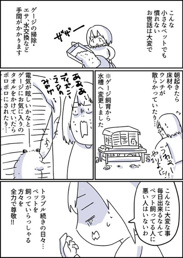 1-2 画像提供：しゃけなかほいさん