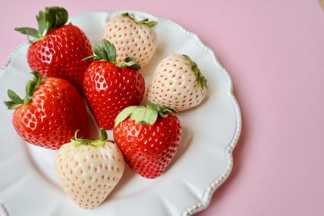 様々な品種のいちご イメージ 白いイチゴと赤いイチゴ