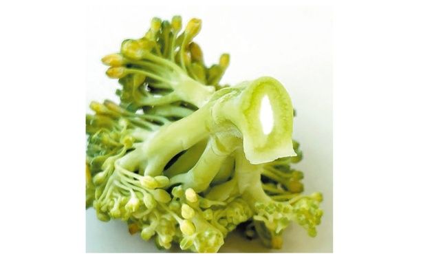 病気ではなく単なる老化現象 （C）安井ファーム／KADOKAWA