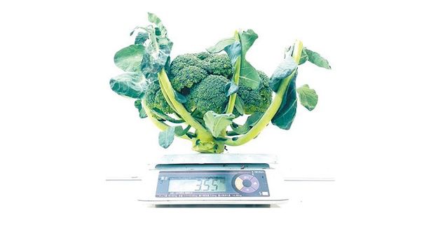 重量ベースでだいたい10ブロッコリー以上 （C）安井ファーム／KADOKAWA