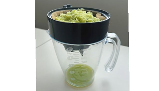 うまみを体感しようと思うとむずかしいかも （C）安井ファーム／KADOKAWA