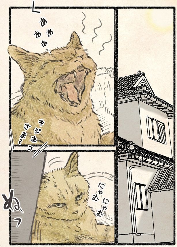 キジネコさま～ （C）うぐいす歌子／KADOKAWA