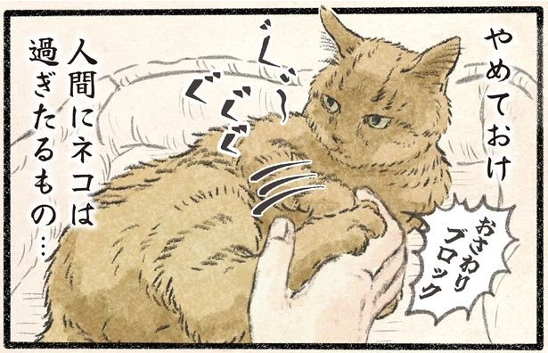 人間にネコは過ぎたるもの… （C）うぐいす歌子／KADOKAWA