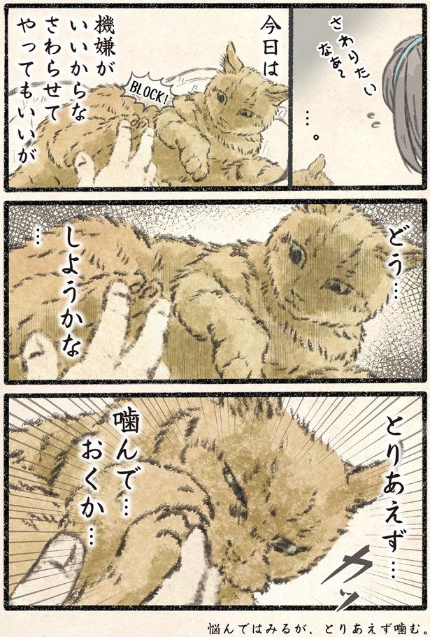 今日は機嫌がいいからな （C）うぐいす歌子／KADOKAWA