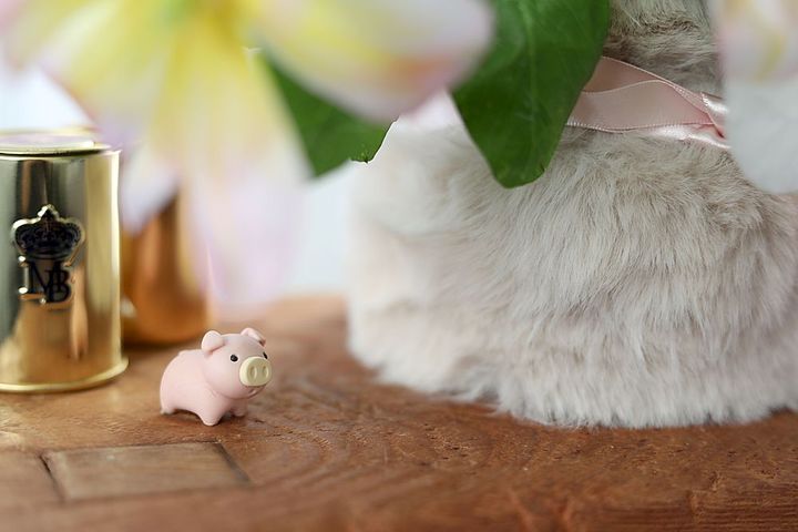 幸せのピンクの子ブタ