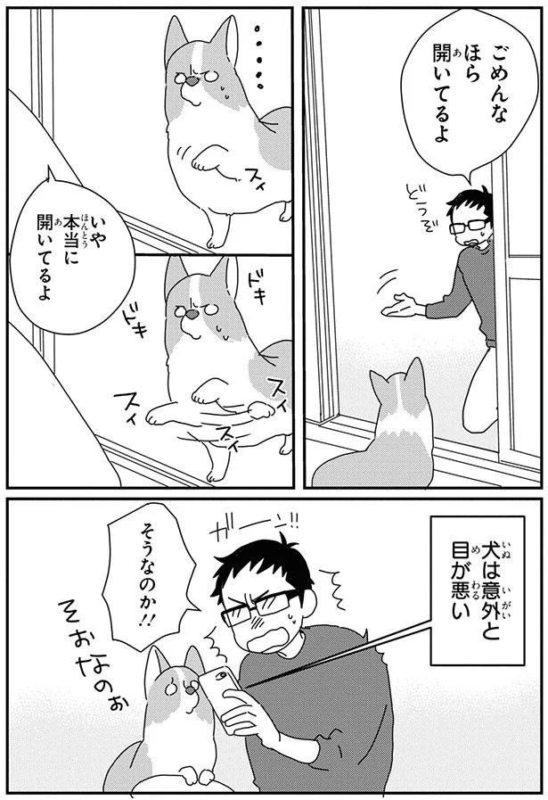 犬は意外と目が悪い (C)らくだ／KADOKAWA