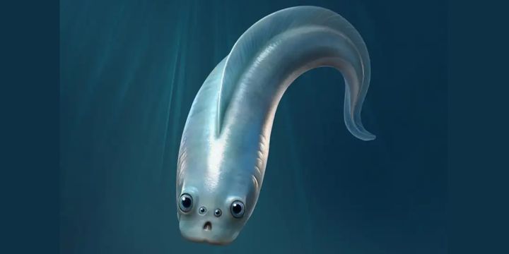 「目は2つ」が当たり前になる前の世界