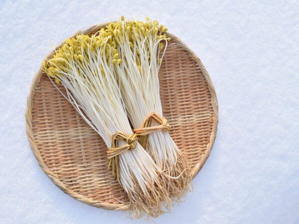 【東京都豊島区】青森県庁公認！“幻のもやし”も味わえる居酒屋「一茶」で旬を堪能