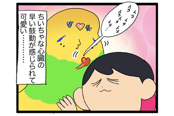 人間のおやつに敏感すぎるセキセイインコにまさかの情報共有疑惑！？【鳥マンガ #190】