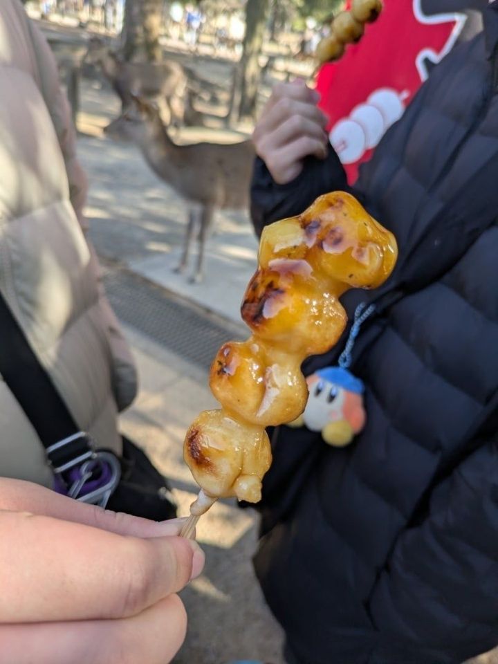 【これ食べて！！】観光の休憩に！焼き立てパリッとふわもち団子