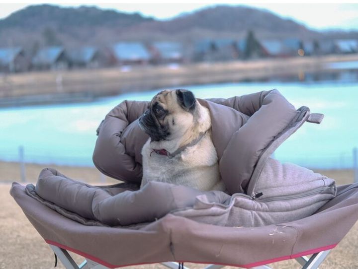 モバイルバッテリーで自動供給。冬キャンプを変えるペレットストーブが凄すぎる！