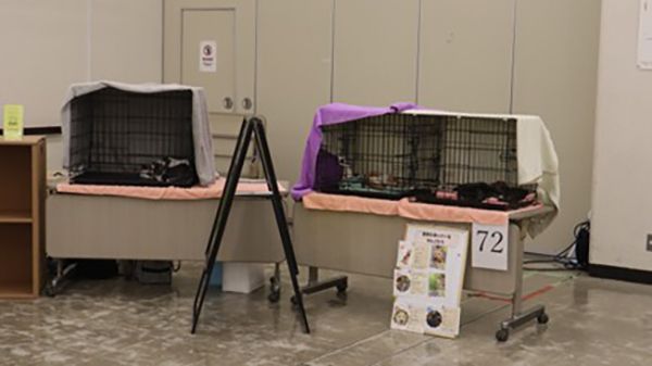 【神奈川県横浜市】「わんにゃんスマイルフェス2026・春」4月に開催。“学び”につながる体験を！