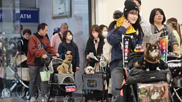 【神奈川県横浜市】「わんにゃんスマイルフェス2026・春」4月に開催。“学び”につながる体験を！