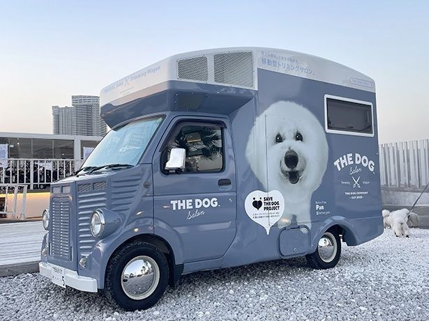 【写真】アッシュブルー×“ぱんちゃん”の象徴的デザイン