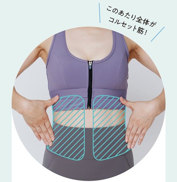 コルセット筋を意識する （C）にーよん／KADOKAWA