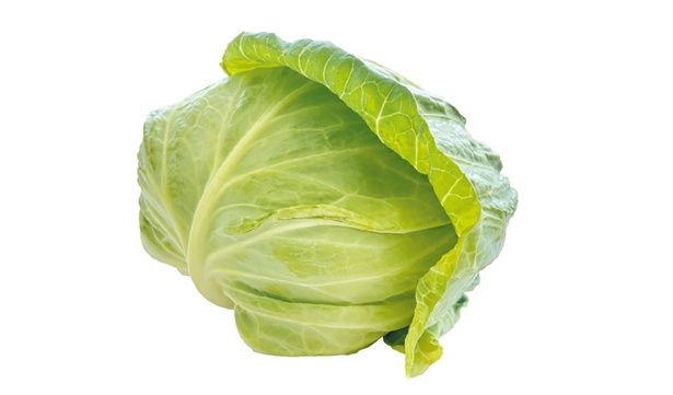 春キャベツ （C）安井ファーム／KADOKAWA
