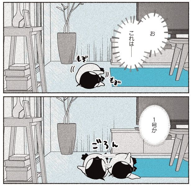 これは── （C）世禕／KADOKAWA