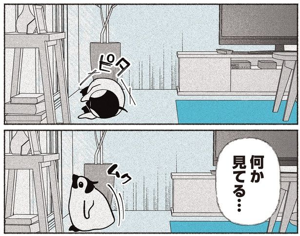 何か見てる… （C）世禕／KADOKAWA