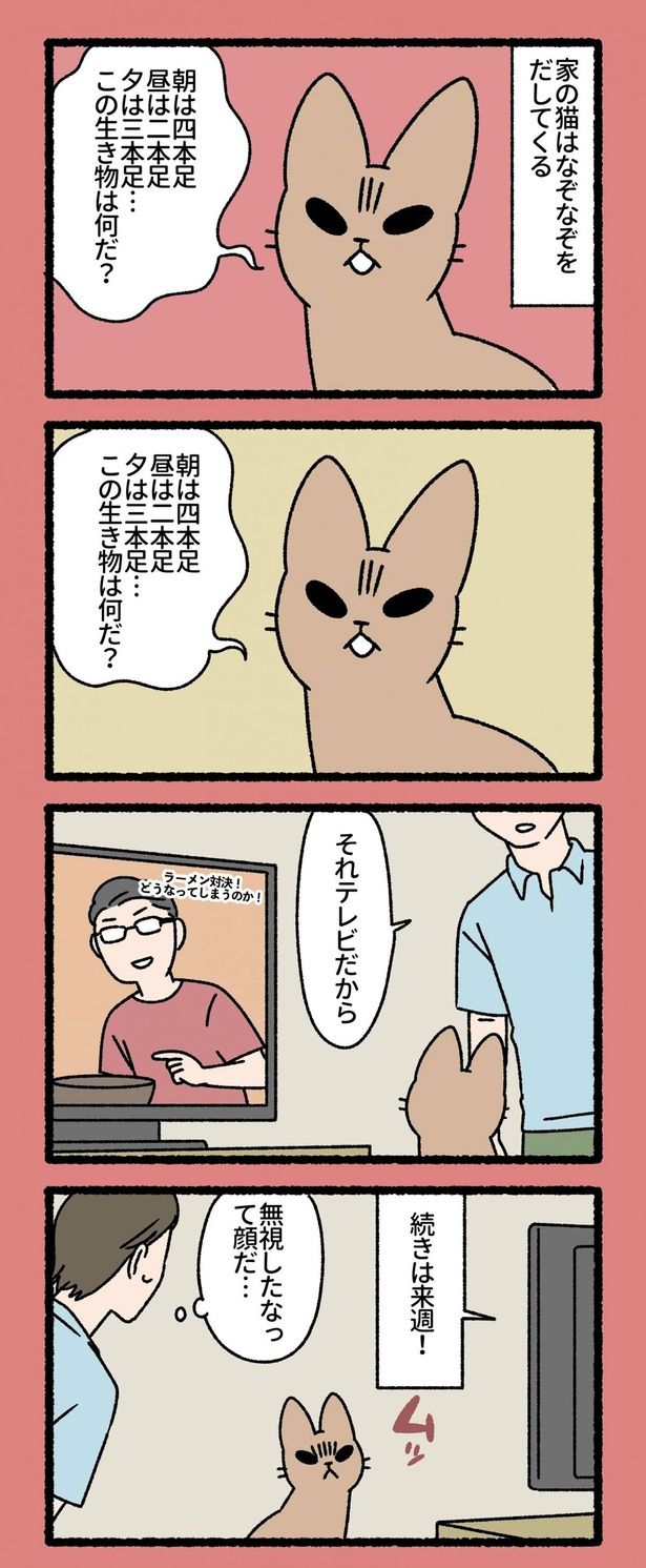 家の猫はなぞなぞをだしてくる （C）ぱんだにあ／竹書房