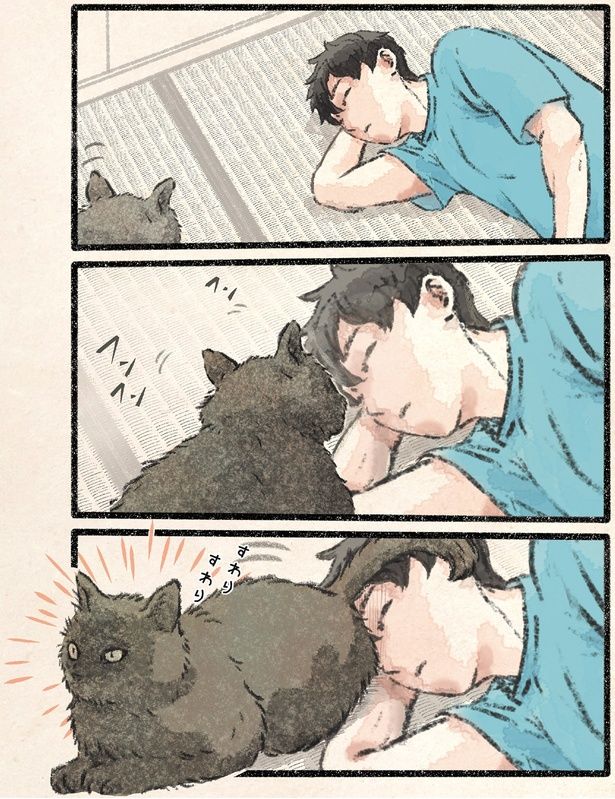 飼い主の顔におしりを向けて （C）うぐいす歌子／KADOKAWA