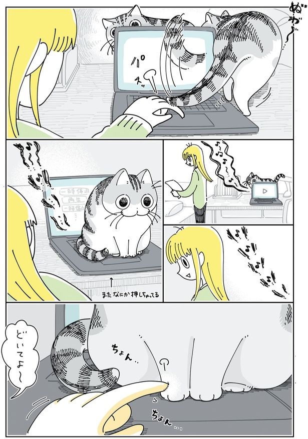 再び （C）キュルZ／KADOKAWA