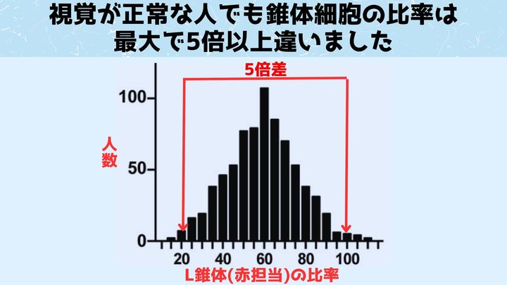 「私の赤」と「あなたの赤」は違う可能性が高い 色覚細胞の研究から意外な発見