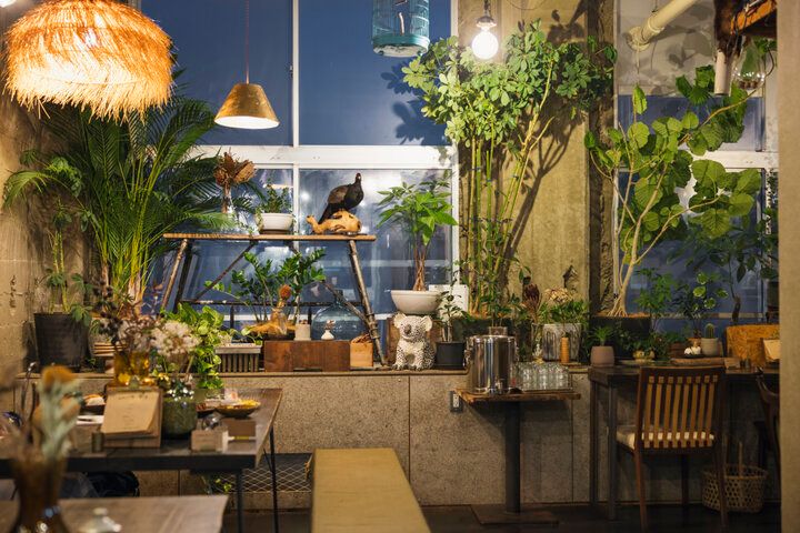 緑に囲まれた空間が非日常を誘う、山形「つち」で癒しのひと時を