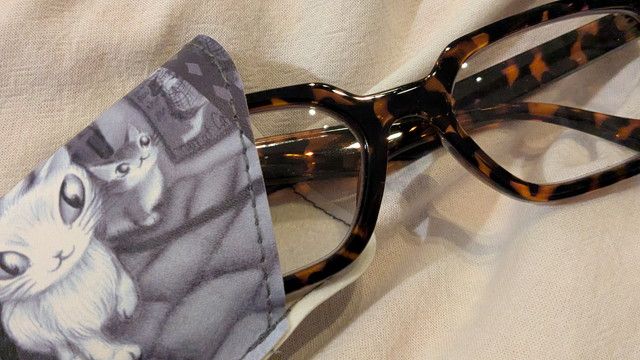 猫のダヤン ルーペメガネをメガネケースに入れる様子 ケースとメガネの組み合わせ