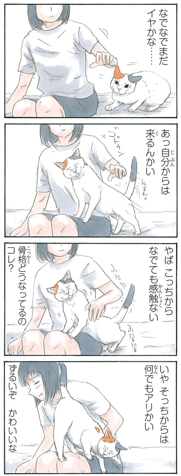 取り戻そうとしてる （C）にごたろ／KADOKAWA