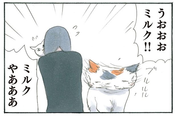 猫を抱きしめて号泣 （C）にごたろ／KADOKAWA