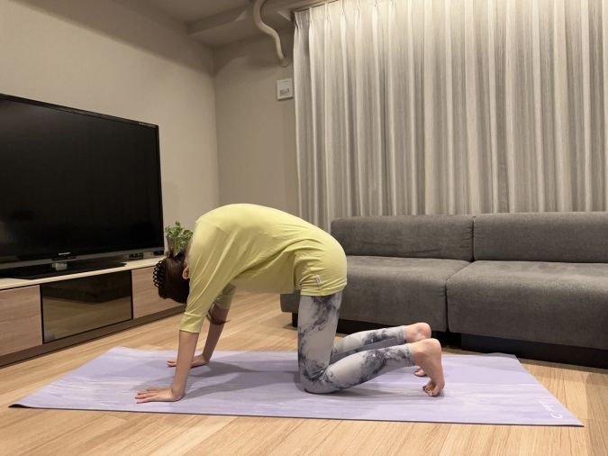 キャット＆カウのポーズ