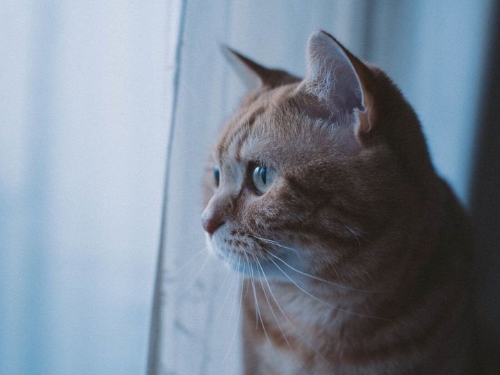 メンタルに不安がある人が職場で「つらい」と感じるのは、どんな瞬間なのでしょうか。457人調査をもとに、ランキング形式で紹介します。※画像：PIXTA