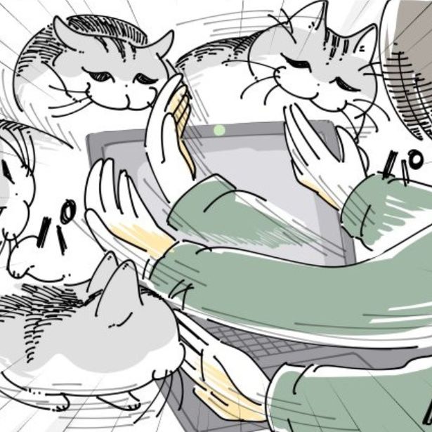 飼い主のパソコンが気になって仕方がない猫 画像提供：キュルZ@kyuryuZ