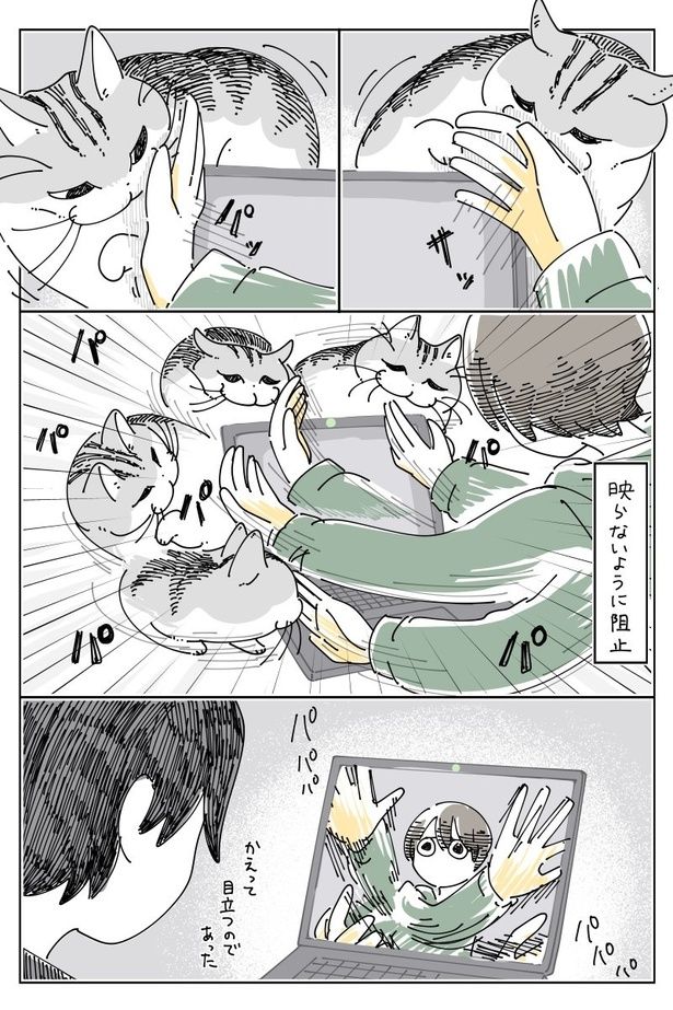 02 画像提供：キュルZ@kyuryuZ