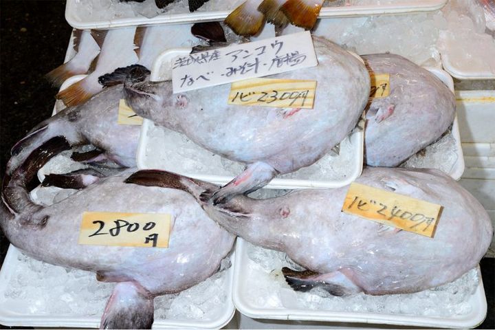 冬の風物詩・あんこう鍋なら大洗へ！