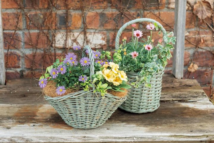 フローラ黒田園芸【黒田健太郎さん流】オーバル＆ラウンド形バスケットの寄せ植え。2つセットで飾るのがポイント！