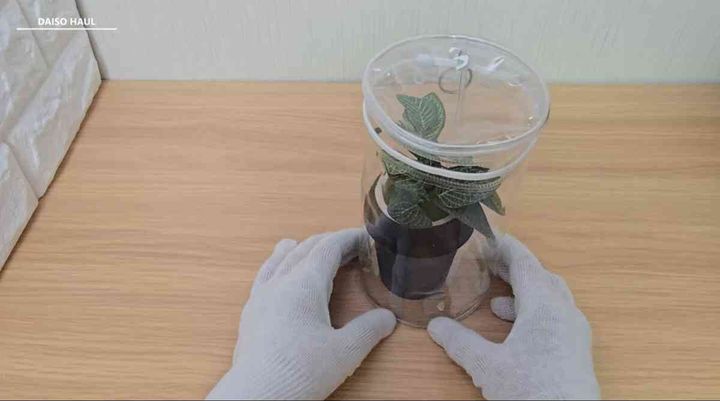 ダイソー┃BIGクリア円筒ポーチ