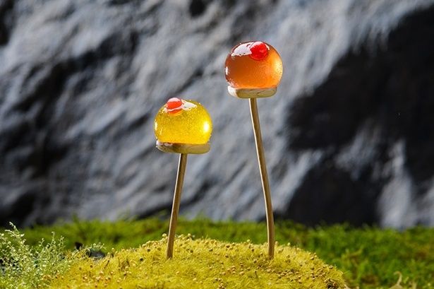 タマゴケをイメージしたパートドフリュイ