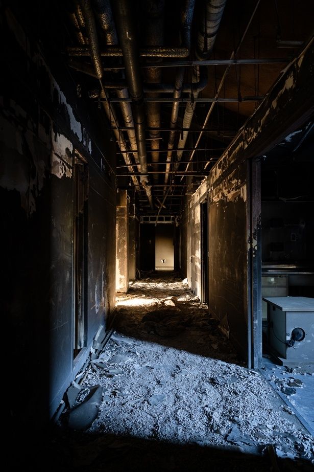 ボーっと見つめていると吸い込まれてしまいそう… 撮影/toshibo