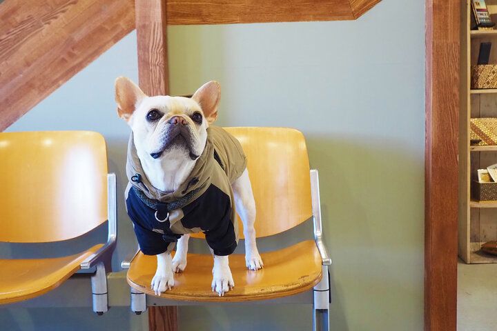 芦ノ湖ビューのカフェも♪ 箱根みやげにおすすめのモダンな雑貨が集まる「寄木 うちはら」